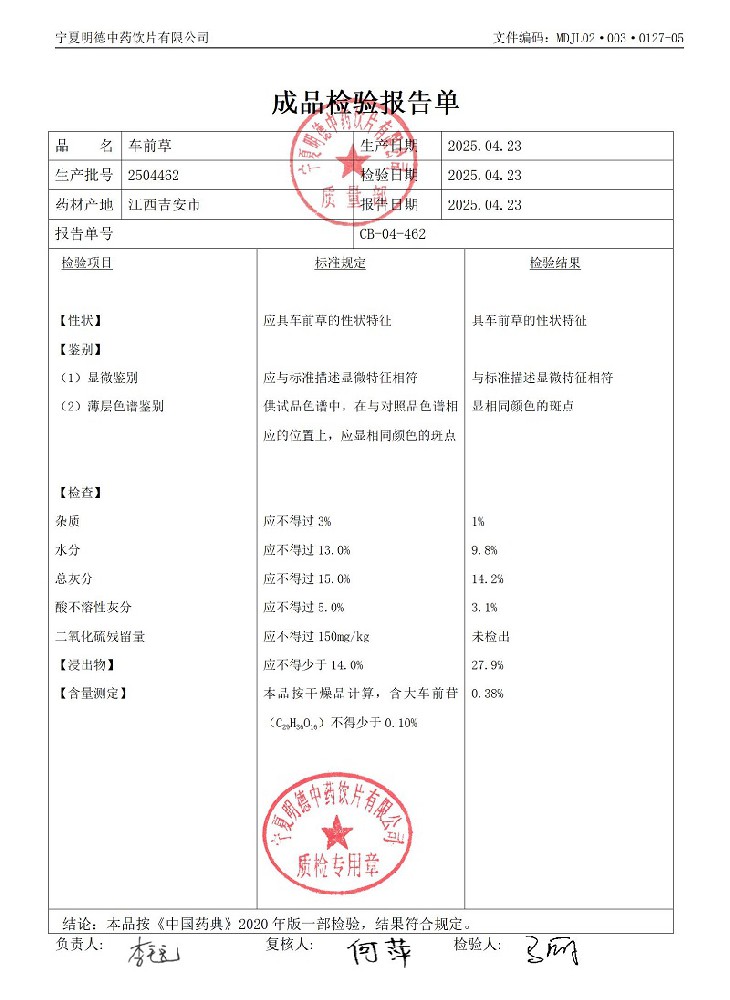 2504462車前草.jpg
