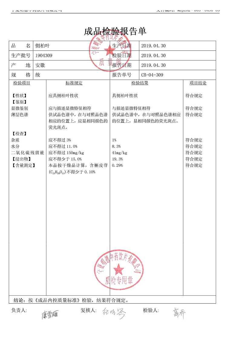1904309側柏葉.jpg
